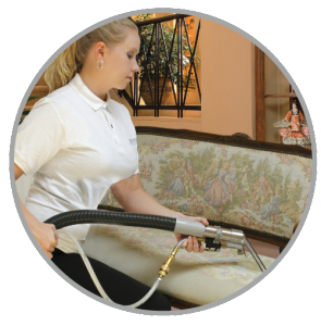 professional upholstery cleaning