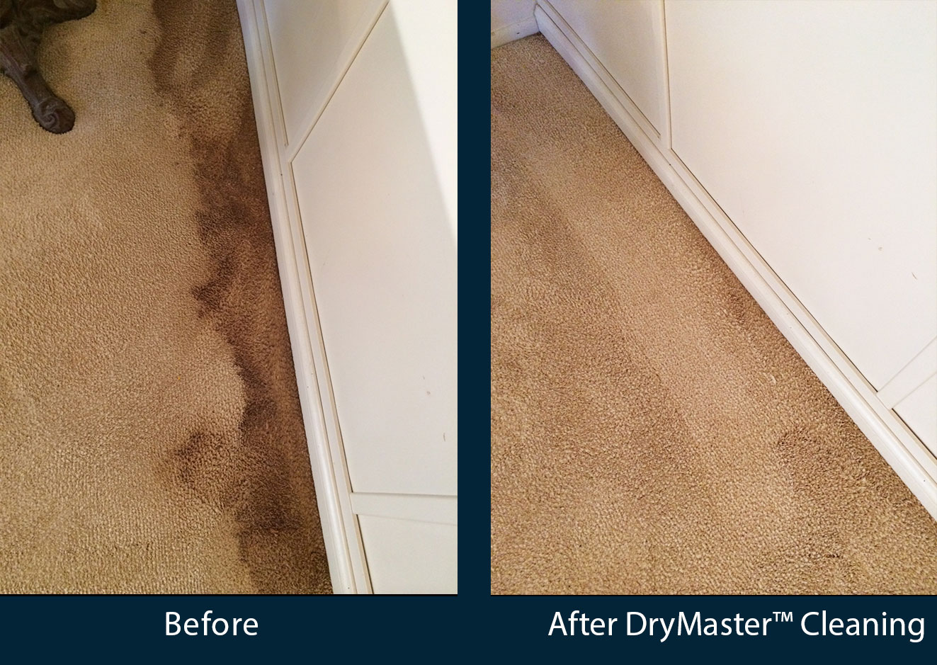professional carpet cleaning before and after photos
