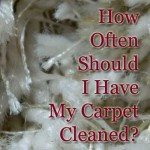 how-often-should-i-have-my-carpet-professionally-cleaned-001