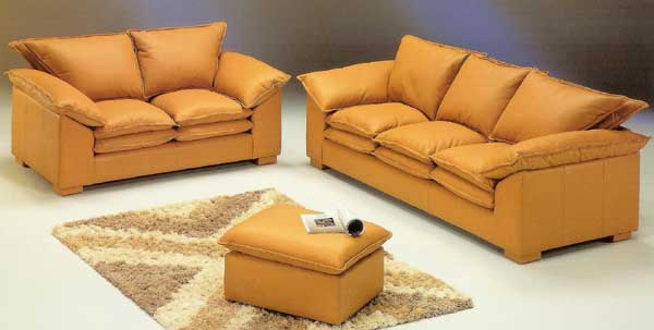 Protect-Leather-Furniture-from-Stains-and-Cracks