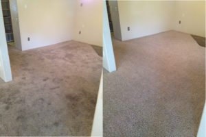 Carpet Be and af