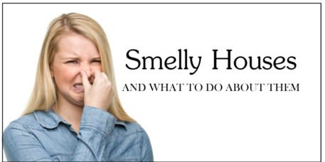 smell stinks musty smelly odor
