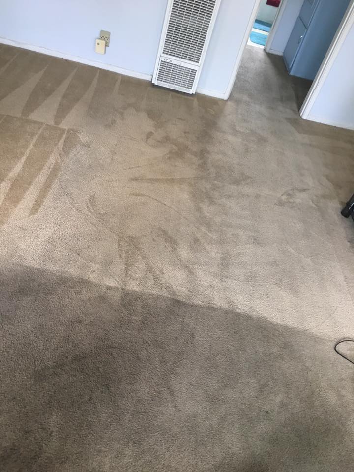 light color carpet ideas