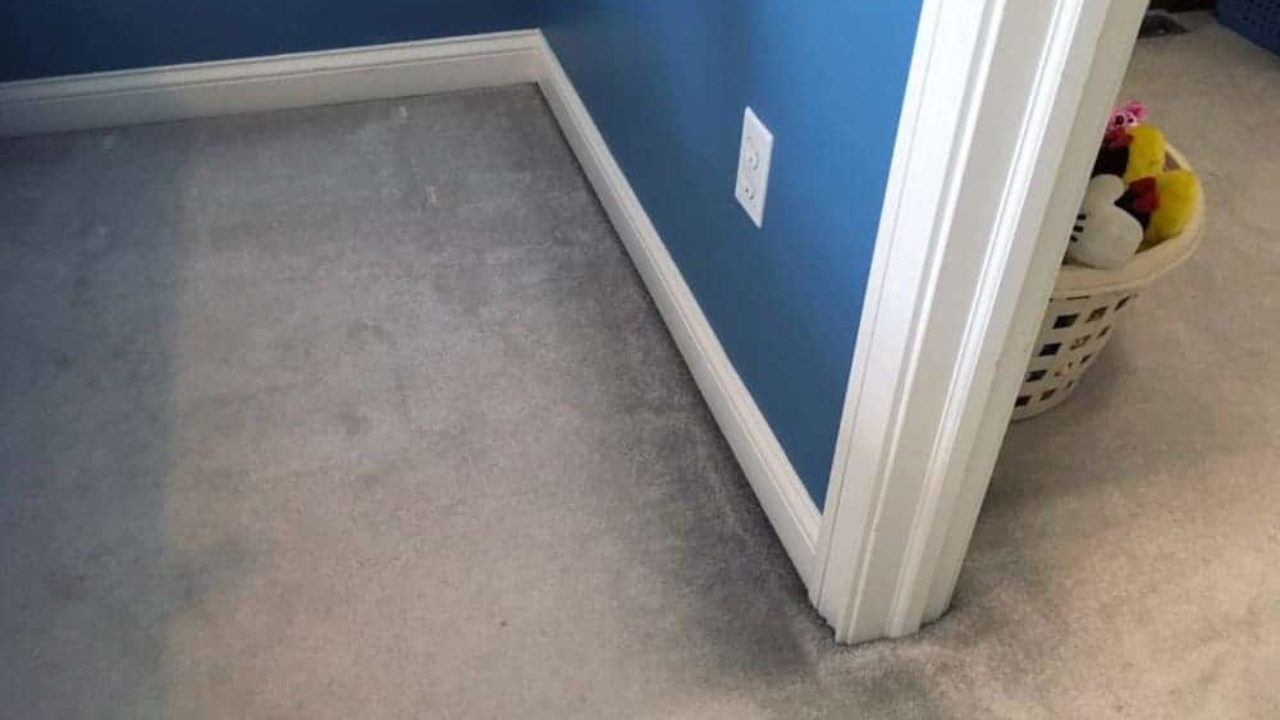 What Are These Black Lines Around The Edges Of Your Carpet