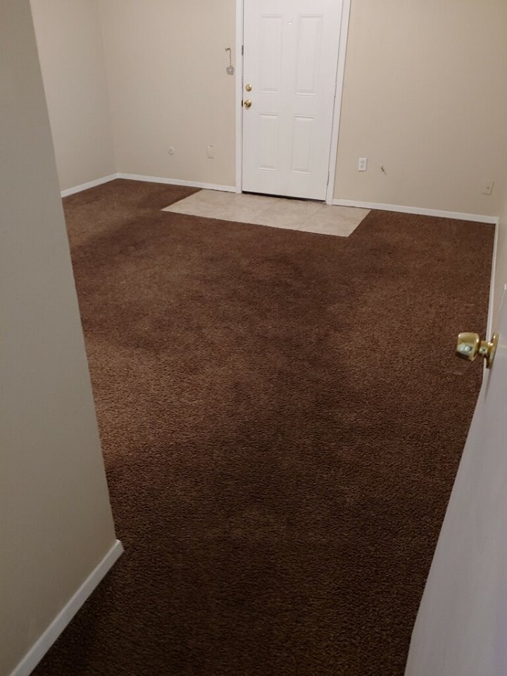 Best Carpet Cleaning DryMaster Systems, Inc.