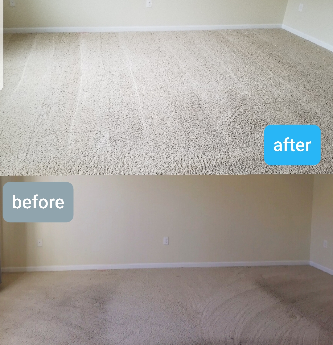 DryMaster carpet cleaning job before and after.