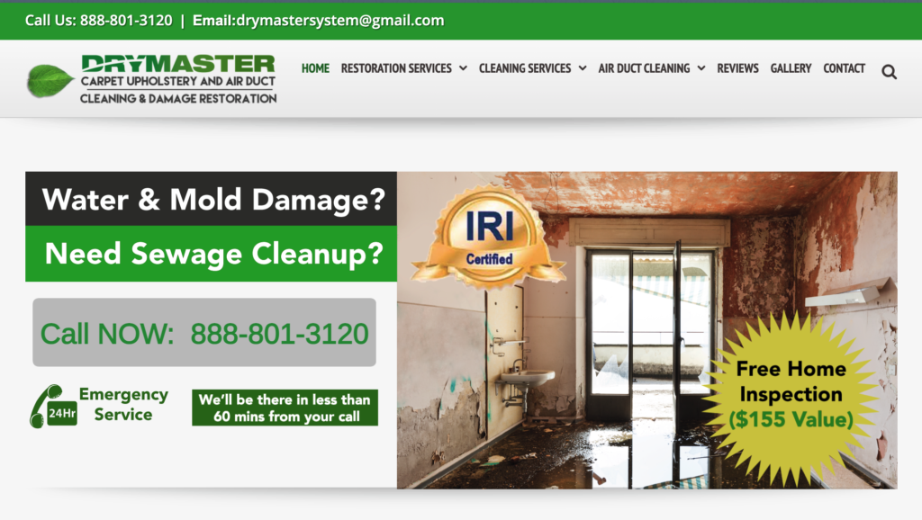 Carpet cleaning website hero image.