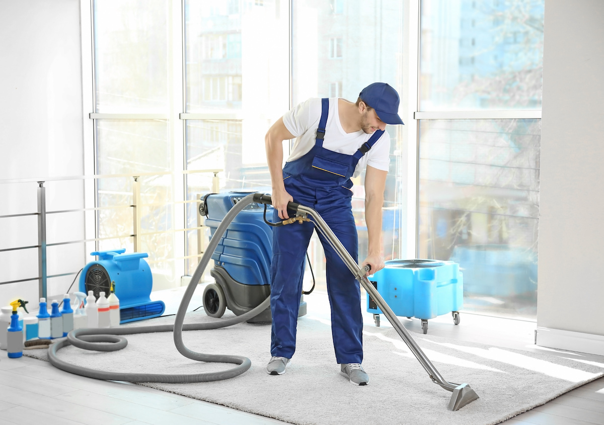 Dry carpet cleaning affiliate removing dirt from carpet in apartment flat.