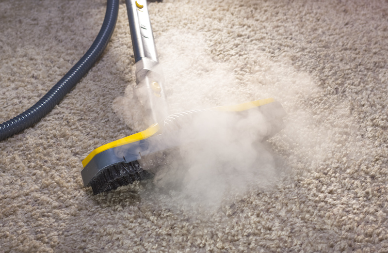 How To Dry Clean Your Carpets Yourself