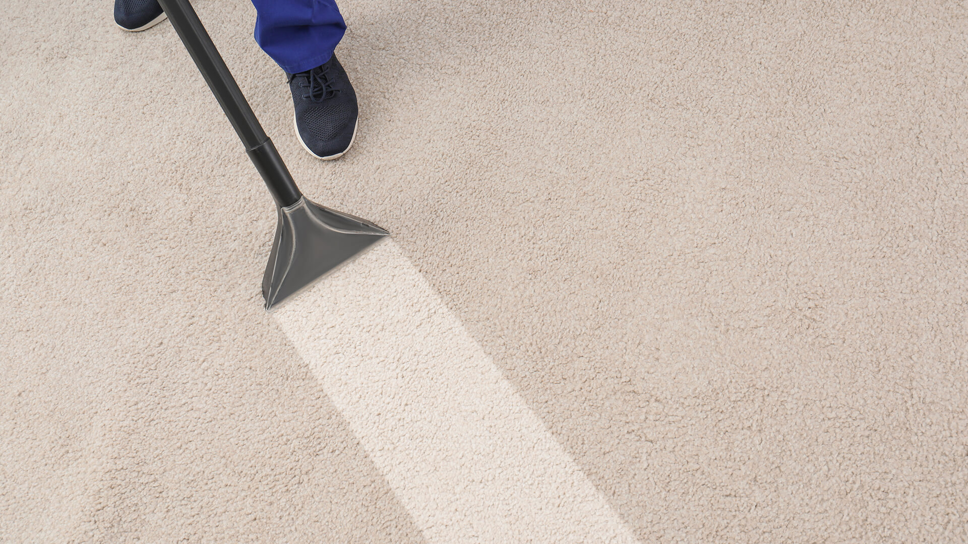 Carpet Cleaning Lake Oswego Or