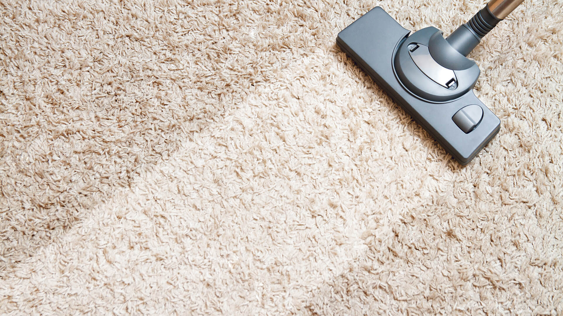 Dry carpet Cleaning with Carpetlife powder and cleaning machine