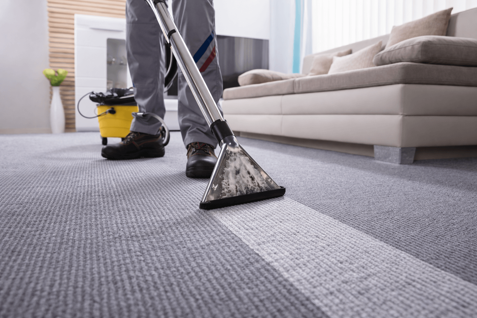 What Is the Most Profitable Cleaning Business?